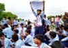 जेन अल्फा का प्रदर्शन