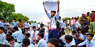 जेन अल्फा का प्रदर्शन