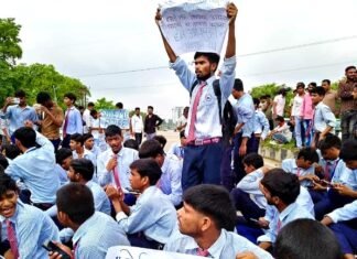 जेन अल्फा का प्रदर्शन